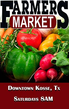 Links to News Sources Around Kosse and Central Texas